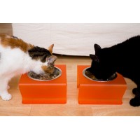 PET A001 Kedi köpek tek kaseli küçük mama kabı..