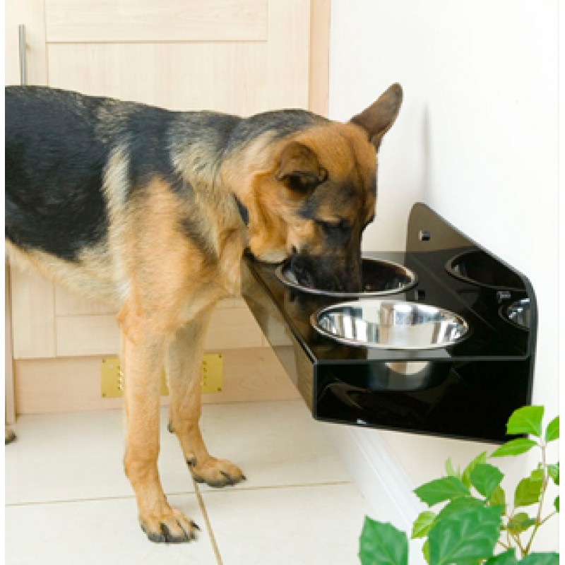 PET 222 Kedi köpek büyük boy mama kabı PET 222 Kedi köpek büyük boy mama kabı