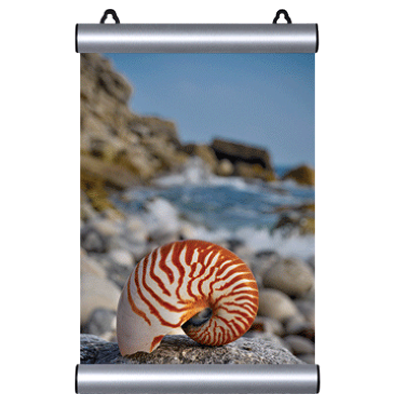 PLK 21 Poster askılığı 21 cm PLK 21 Poster askılığı 21 cm