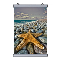PLK 35 Poster askılığı 35 cm..